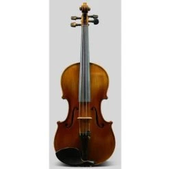 Shen SV800 4/4 Violin