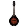 Beaver Creek BCMM201 Mandolin -Symphony Shop 12850