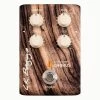 LR Baggs Align Series Acoustic Chorus Pedal - Demo