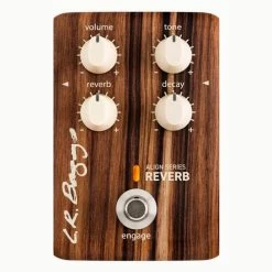 LR Baggs Align Series Acoustic Reverb Pedal - Demo