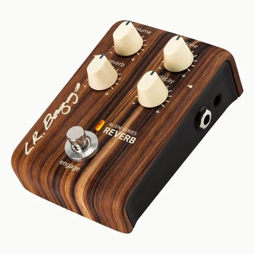 LR Baggs Align Series Acoustic Reverb Pedal - Demo 4 LR Baggs Align Series Acoustic Reverb Pedal - Demo - Image 2