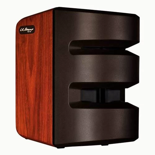 LR Baggs Synapse Personal PA System 3 LR Baggs Synapse Personal PA System
