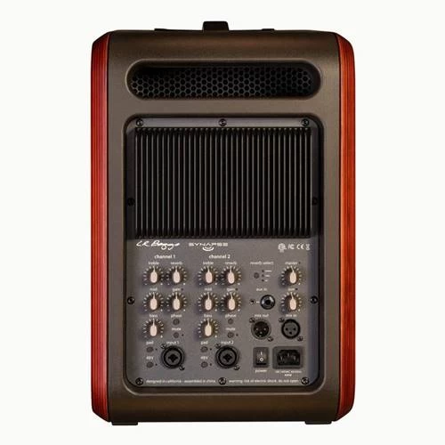 LR Baggs Synapse Personal PA System 4 LR Baggs Synapse Personal PA System - Image 2