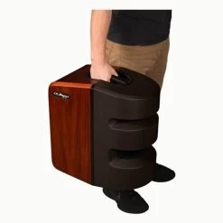 LR Baggs Synapse Personal PA System 8 LR Baggs Synapse Personal PA System -Symphony Shop 13865 3