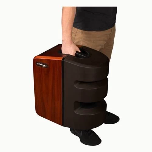 LR Baggs Synapse Personal PA System 5 LR Baggs Synapse Personal PA System - Image 3