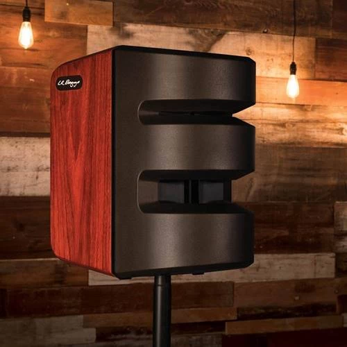 LR Baggs Synapse Personal PA System 6 LR Baggs Synapse Personal PA System - Image 4