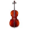 Eastman VC95 Cello Outfit 1 Eastman VC95 Cello Outfit -Symphony Shop 14555 1