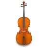 Eastman VC200 Cello Outfit