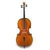 Eastman VC702 Wilhelm Klier Cello Outfit -Symphony Shop 1916 1