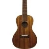 Kala KA-KCG Concert Koa Gloss Ukulele -Symphony Shop 3079