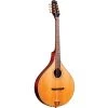 Gold Tone OM-800+ Octave Mandolin -Symphony Shop 4599