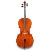 Eastman VC140 Ivan Dunov 4/4 Cello Outfit