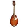Seagull S8 Mandolin Burnt Umber + Bag 2 Seagull S8 Mandolin Burnt Umber + Bag -Symphony Shop 5977