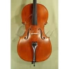 Gliga Gems I 4/4 Cello Outfit