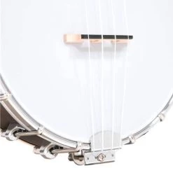 Gold Tone Banjo Tenor Ukulele &Case 14 Gold Tone Banjo Tenor Ukulele &Case -Symphony Shop 9967 3